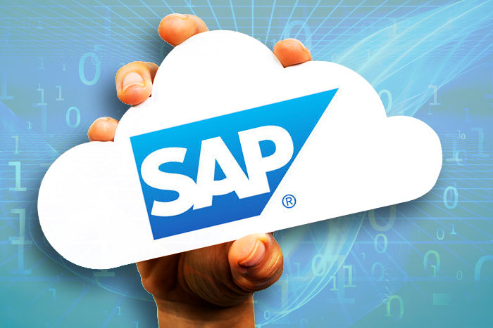 Congratulations to the Brandenburg Team for a Successful SAP Rollout!