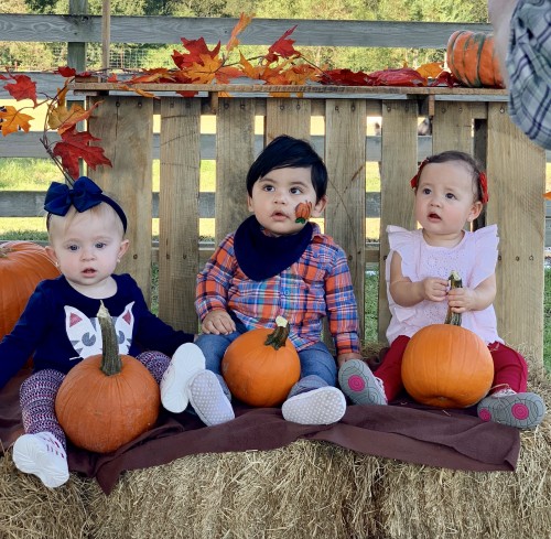 Houston Employees Create Family Memories at the Fall Picnic (PICTURES) 