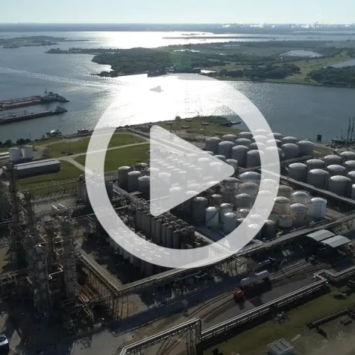 Check Out the Monument Story! (VIDEO)